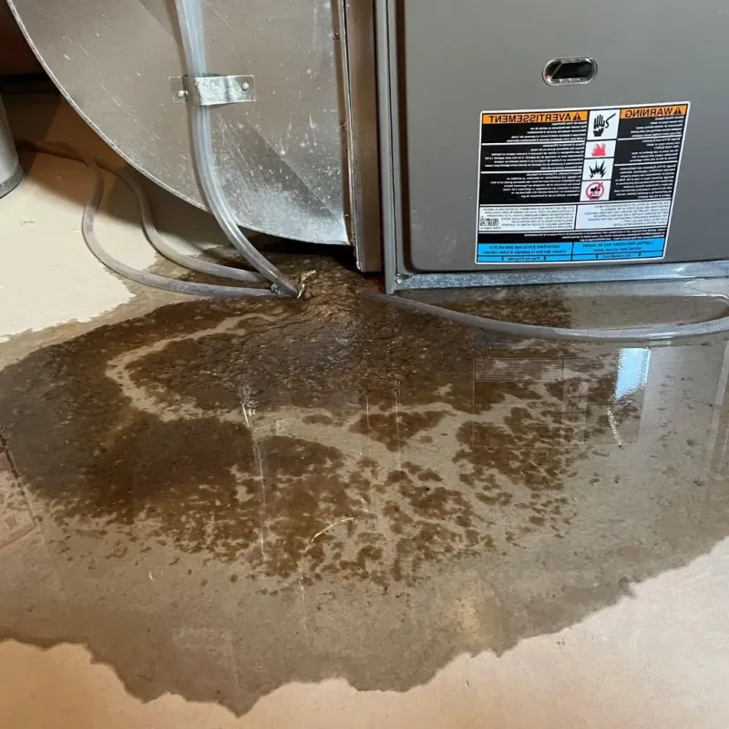Pipe Burst and Leak Restoration in Lake Marcel-Stillwater, WA